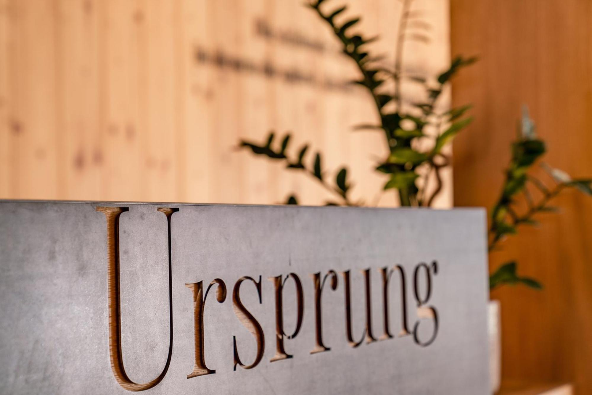 Aparthotel Ursprung Schladming Kültér fotó